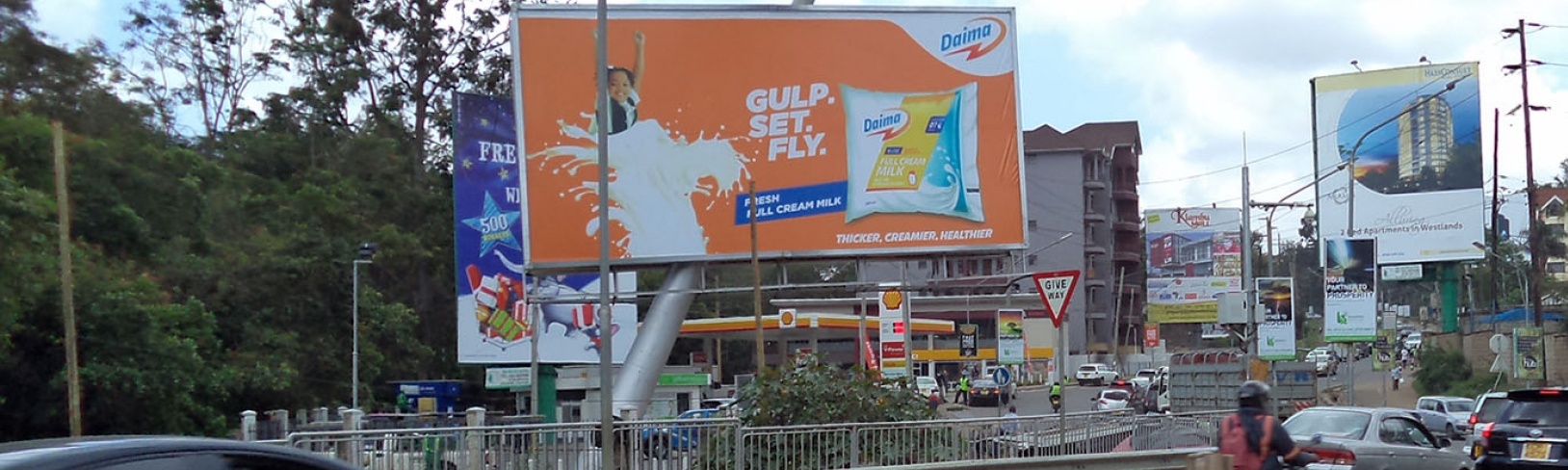 Consultation & Strategy